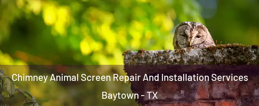  Chimney Animal Screen Repair And Installation Services Baytown - TX