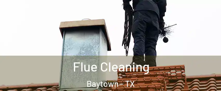 Flue Cleaning Baytown - TX