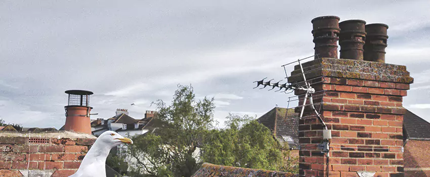 Chimney Cleaning And Restoration in Baytown, Texas